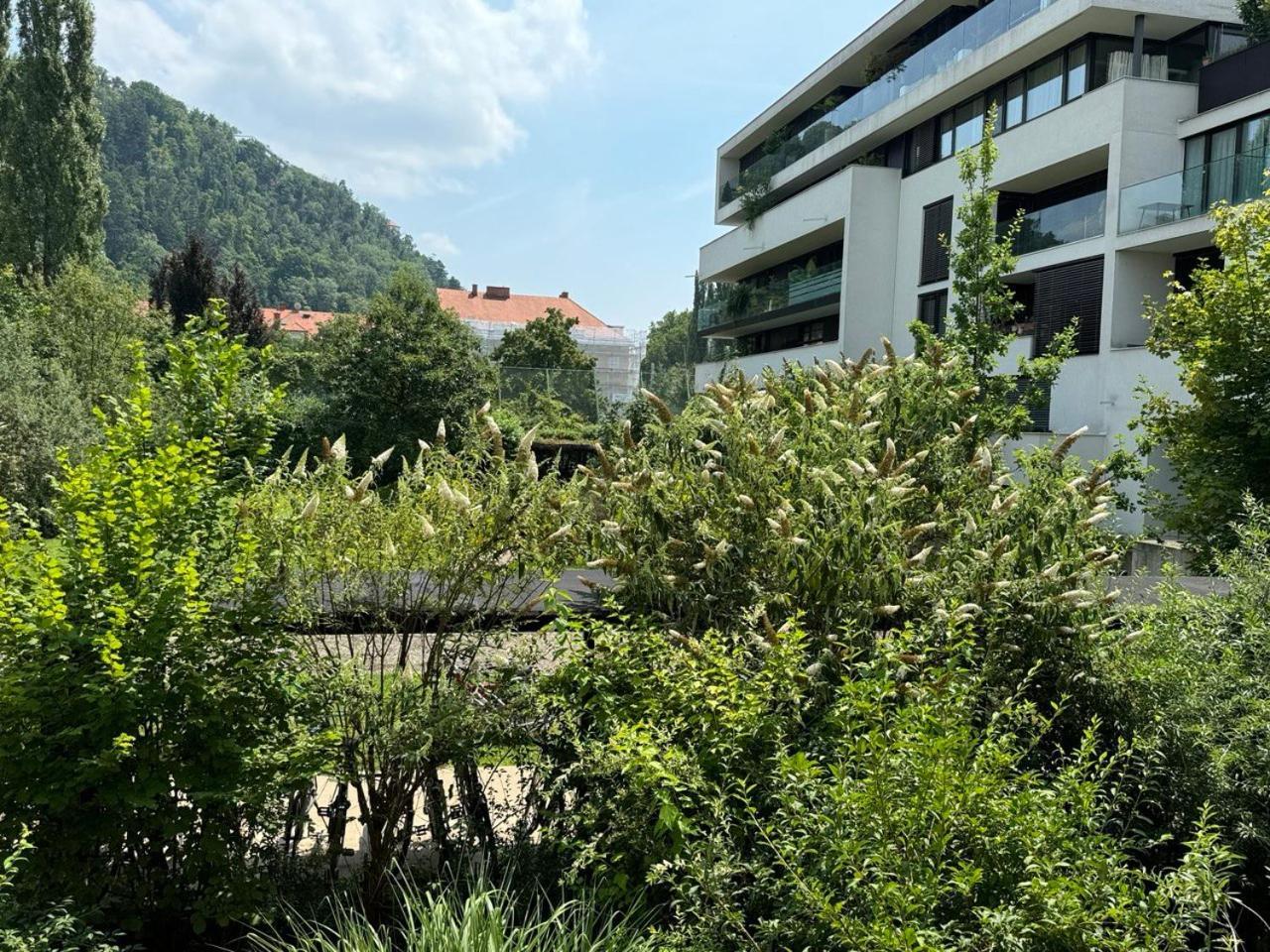 Cosy Splendor / City Center Graz Dış mekan fotoğraf